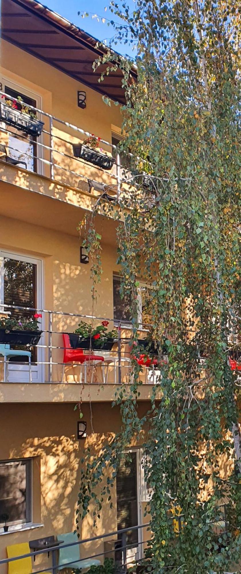 Vila Sia Bucureşti Eksteriør bilde