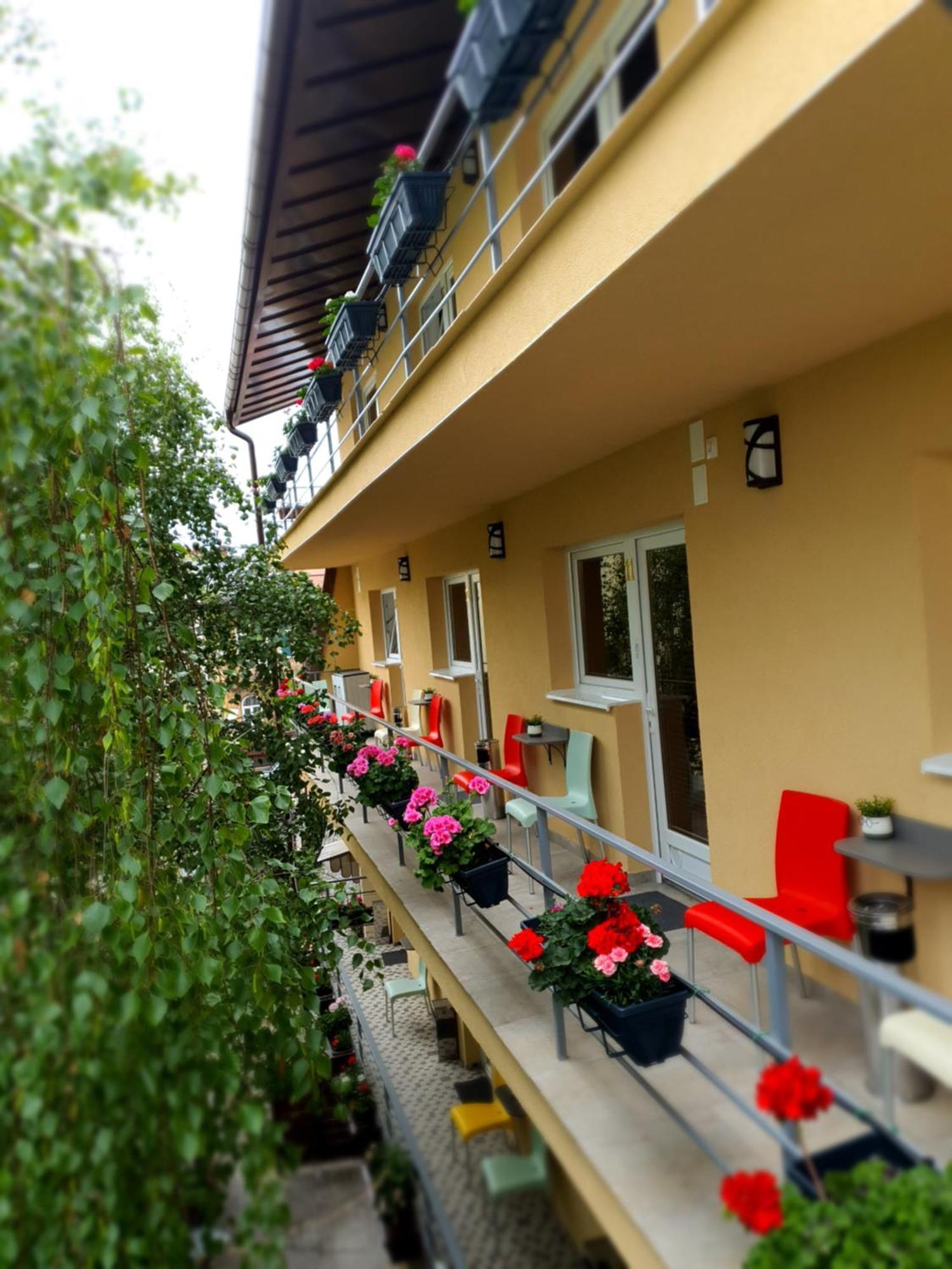 Vila Sia Bucureşti Eksteriør bilde