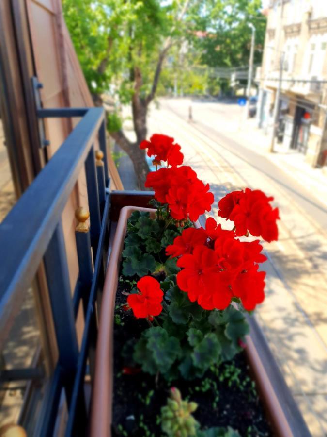 Vila Sia Bucureşti Eksteriør bilde